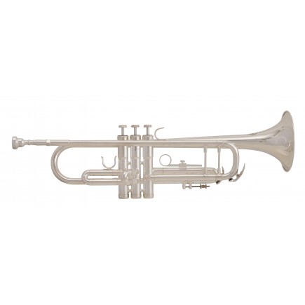 GRASSI GR TR210AG GRASSI 8032496162407 China ST 1 4 Active 1 0 3 HAWA 92051000 pBb Trumpet, Silver-Plated/p pThe Master GR TR210